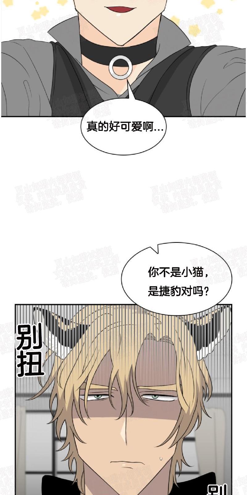 动物王国[耽美]韩漫全集-第16话无删减无遮挡章节图片 