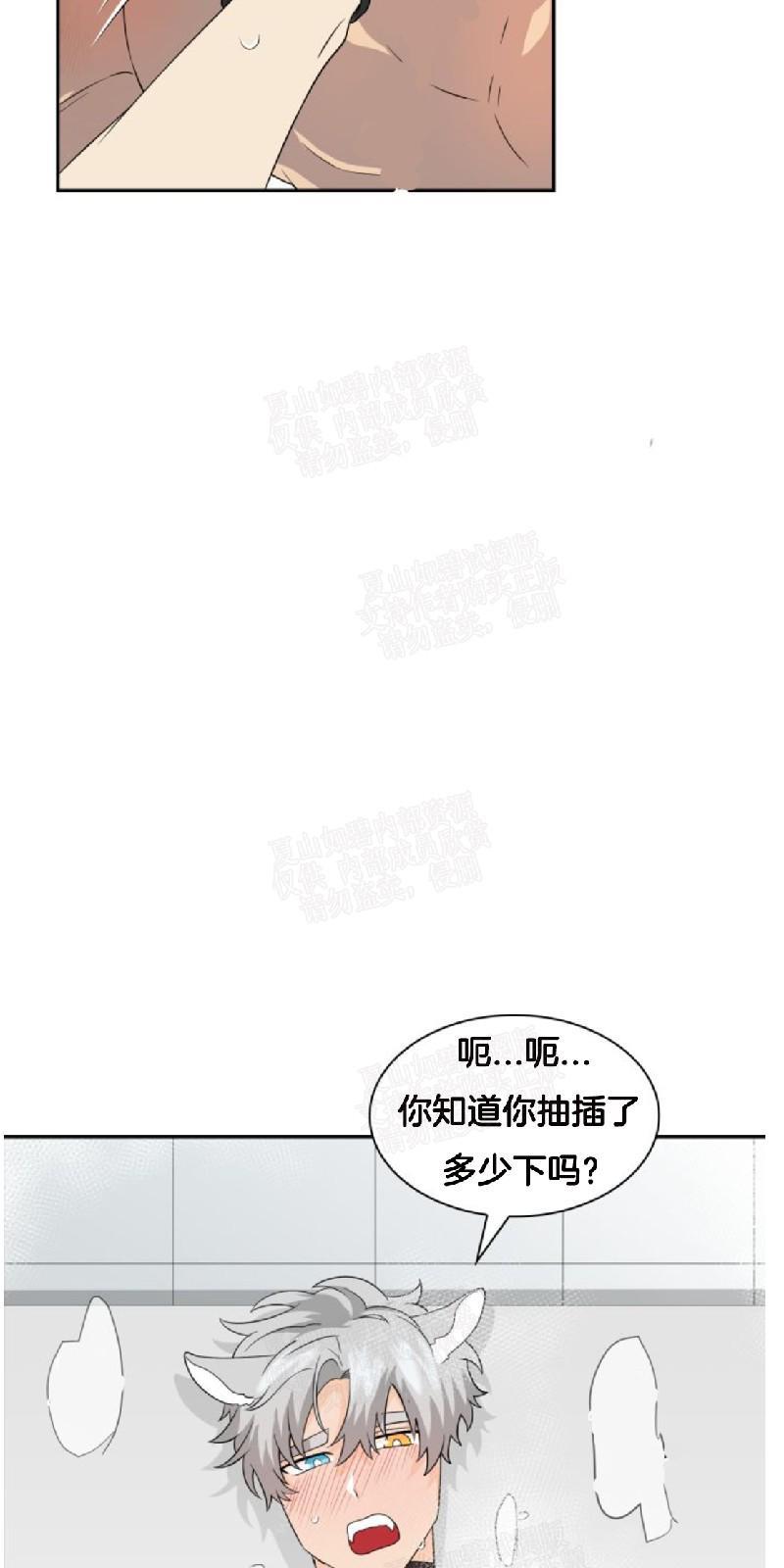 动物王国[耽美]韩漫全集-第17话无删减无遮挡章节图片 