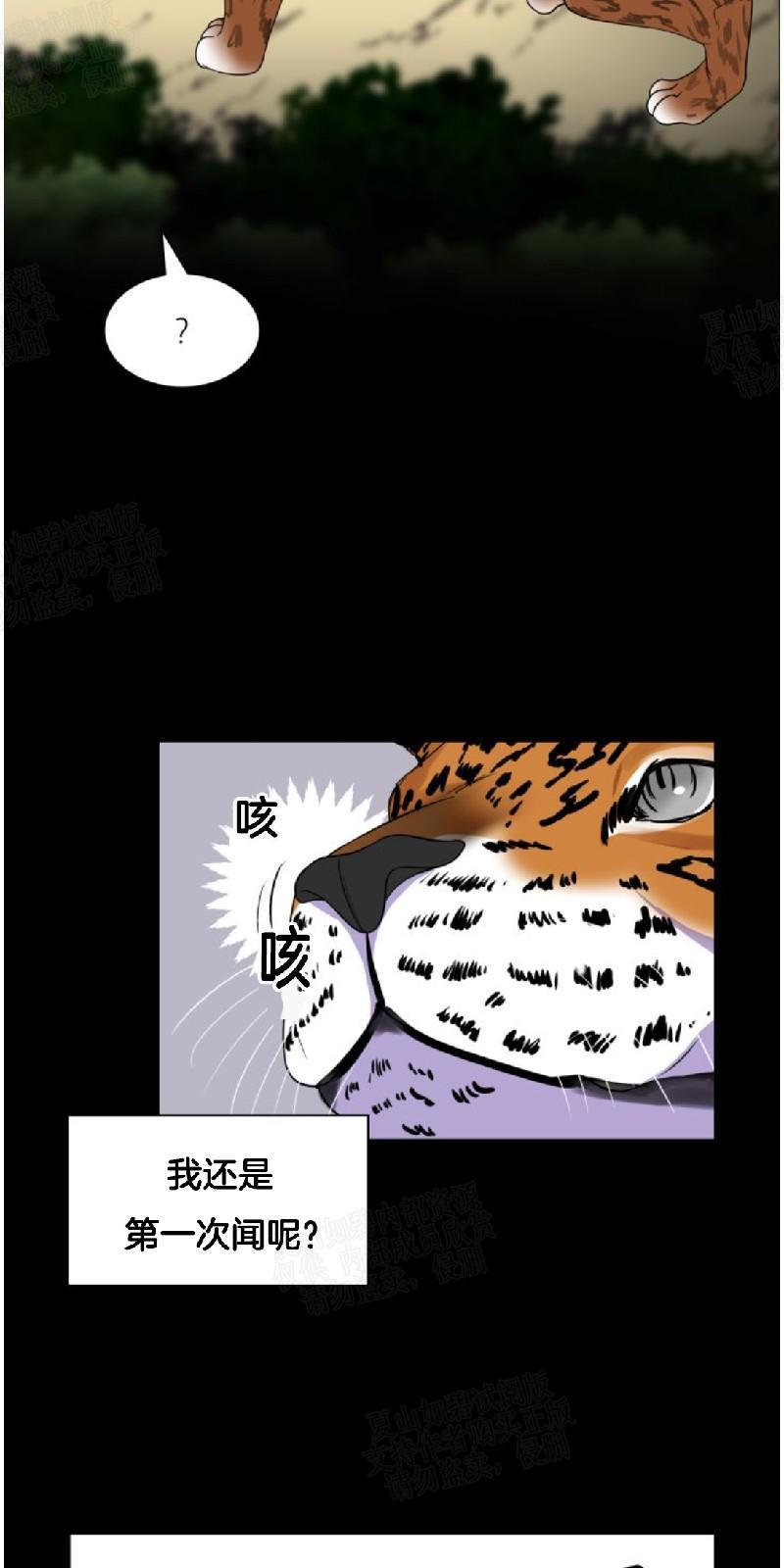 动物王国[耽美]韩漫全集-第18话无删减无遮挡章节图片 