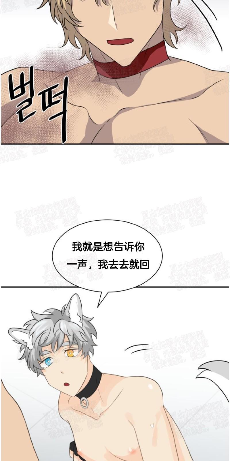 动物王国[耽美]韩漫全集-第19话无删减无遮挡章节图片 