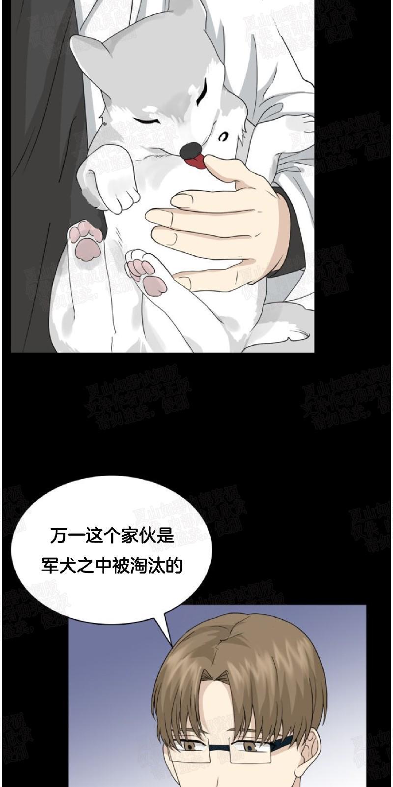 动物王国[耽美]韩漫全集-第20话无删减无遮挡章节图片 