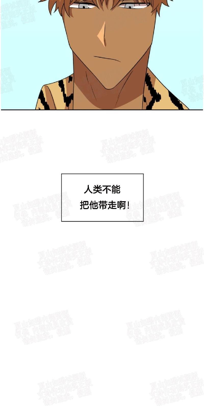 动物王国[耽美]韩漫全集-第21话无删减无遮挡章节图片 