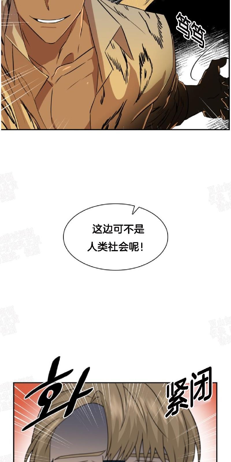 动物王国[耽美]韩漫全集-第22话无删减无遮挡章节图片 