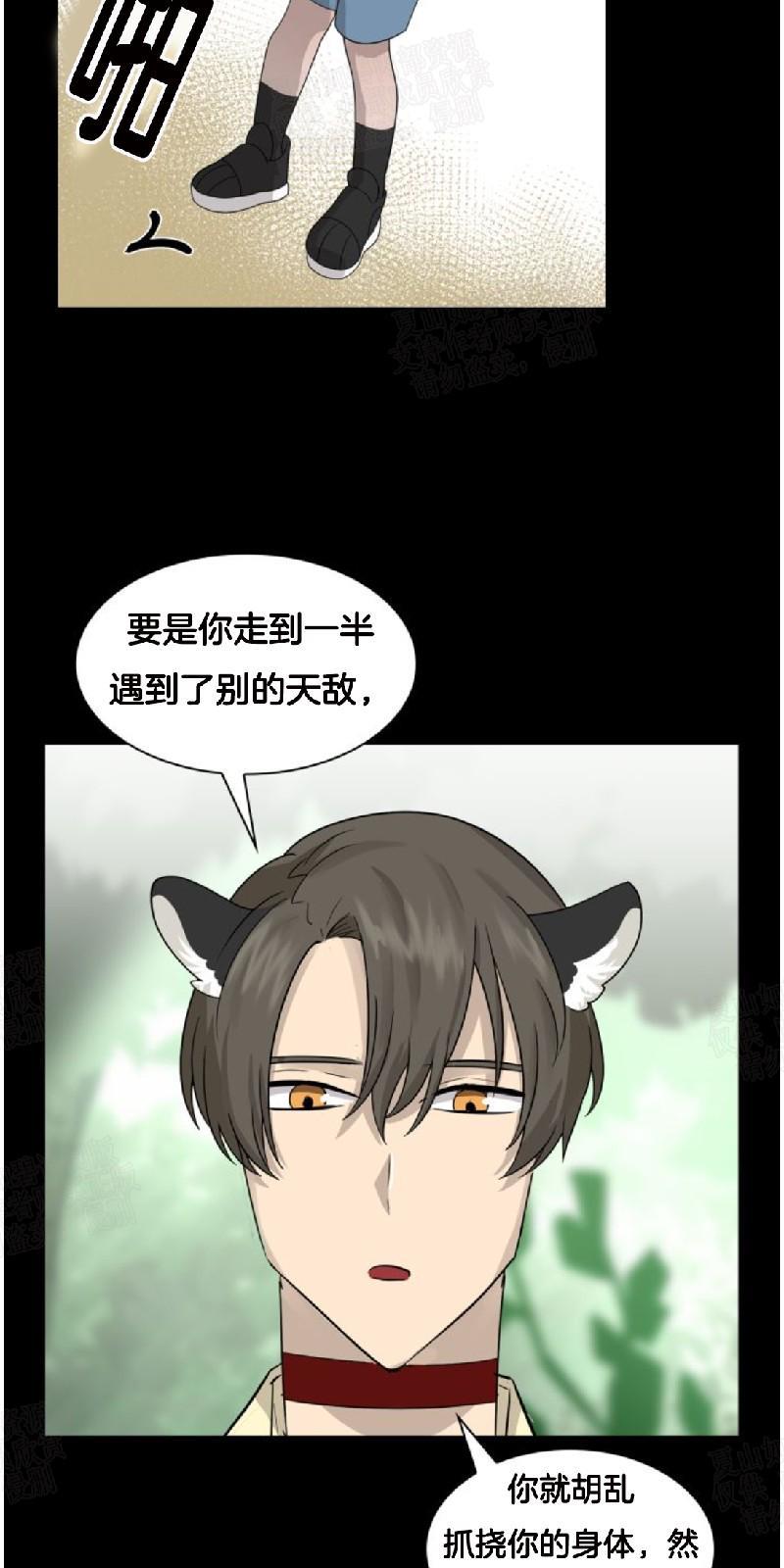 动物王国[耽美]韩漫全集-第22话无删减无遮挡章节图片 