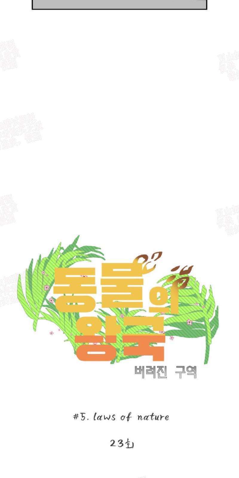 动物王国[耽美]韩漫全集-第23话无删减无遮挡章节图片 