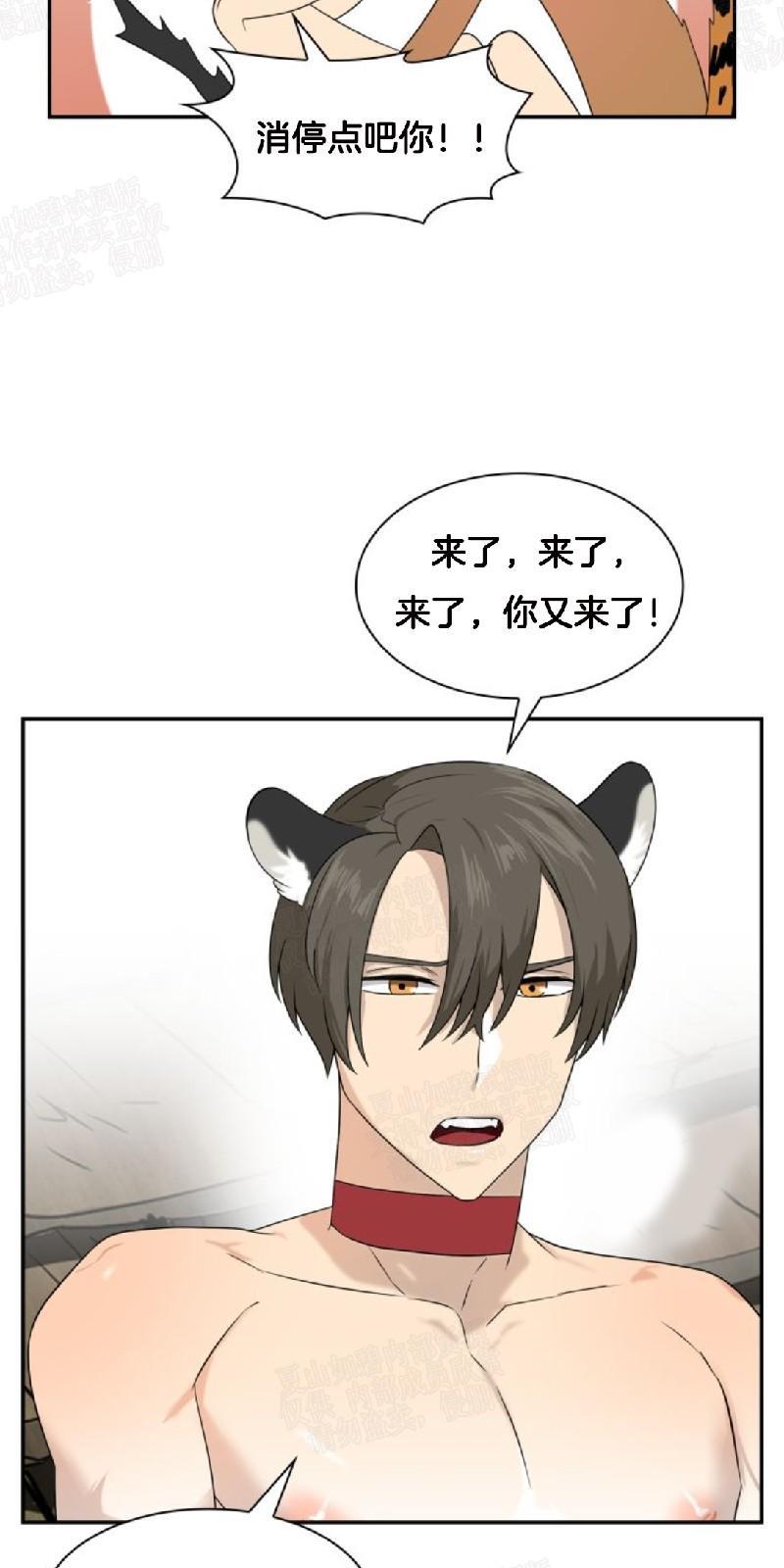 动物王国[耽美]韩漫全集-第23话无删减无遮挡章节图片 