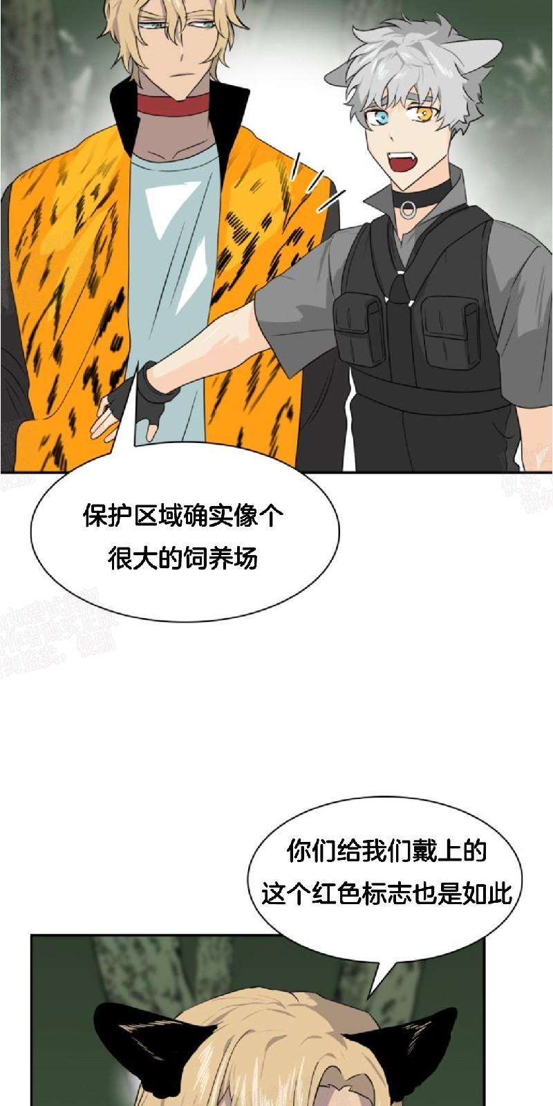 动物王国[耽美]韩漫全集-第24话无删减无遮挡章节图片 