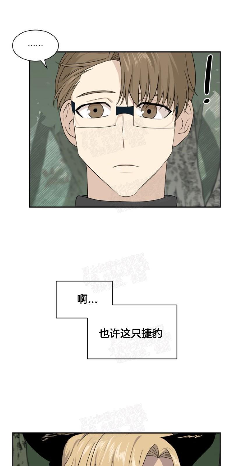 动物王国[耽美]韩漫全集-第24话无删减无遮挡章节图片 