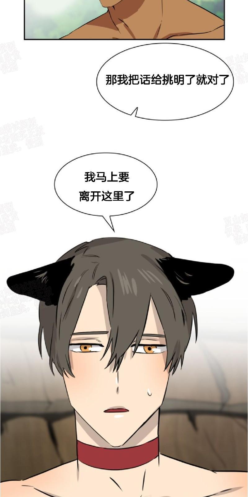 动物王国[耽美]韩漫全集-第25话无删减无遮挡章节图片 