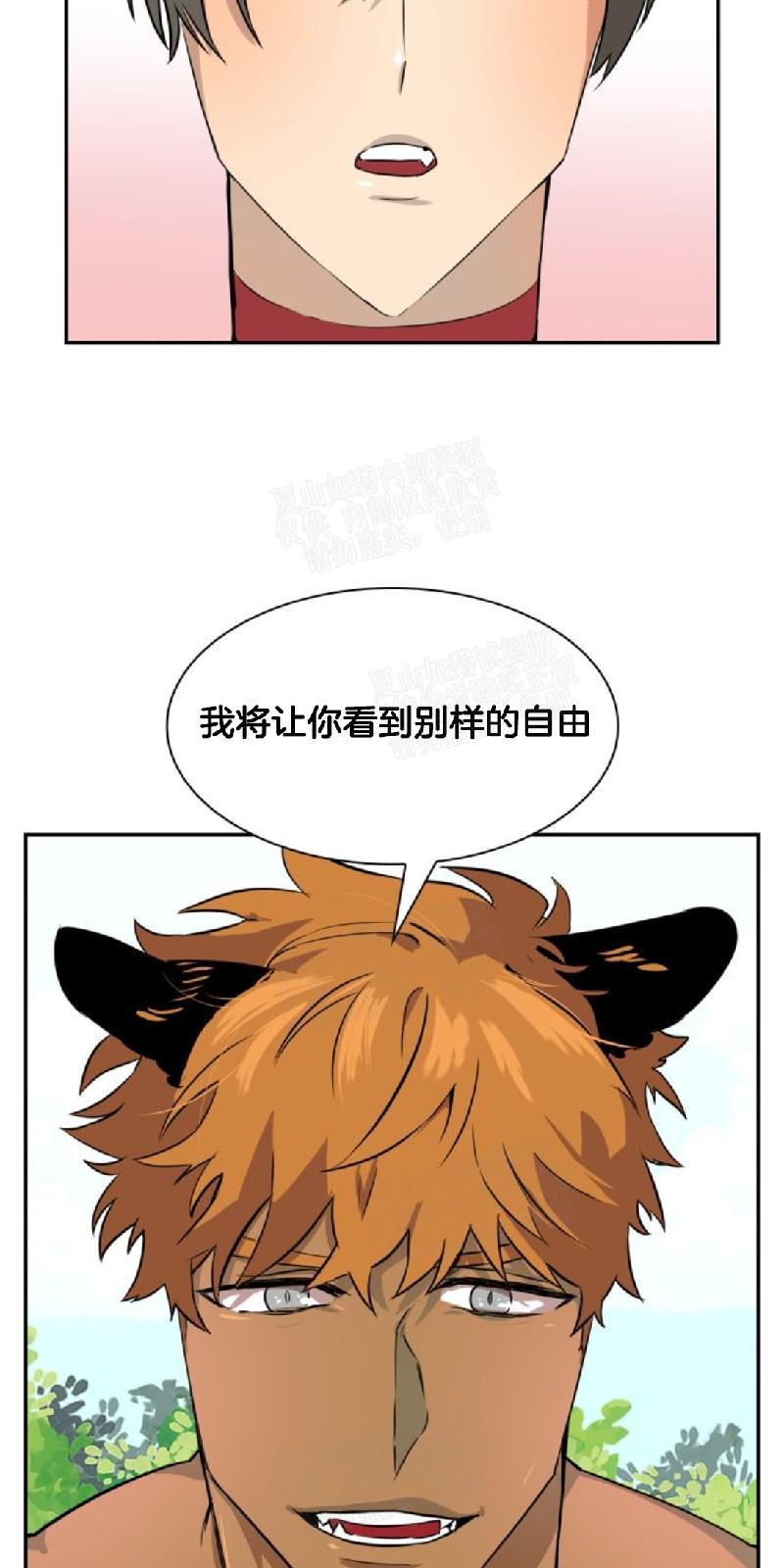 动物王国[耽美]韩漫全集-第25话无删减无遮挡章节图片 