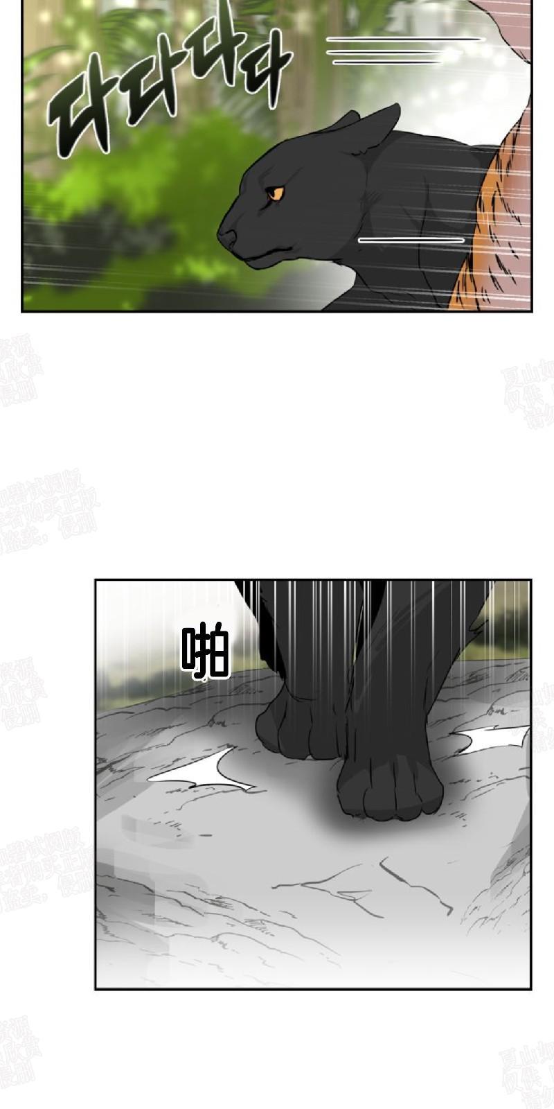 动物王国[耽美]韩漫全集-第25话无删减无遮挡章节图片 