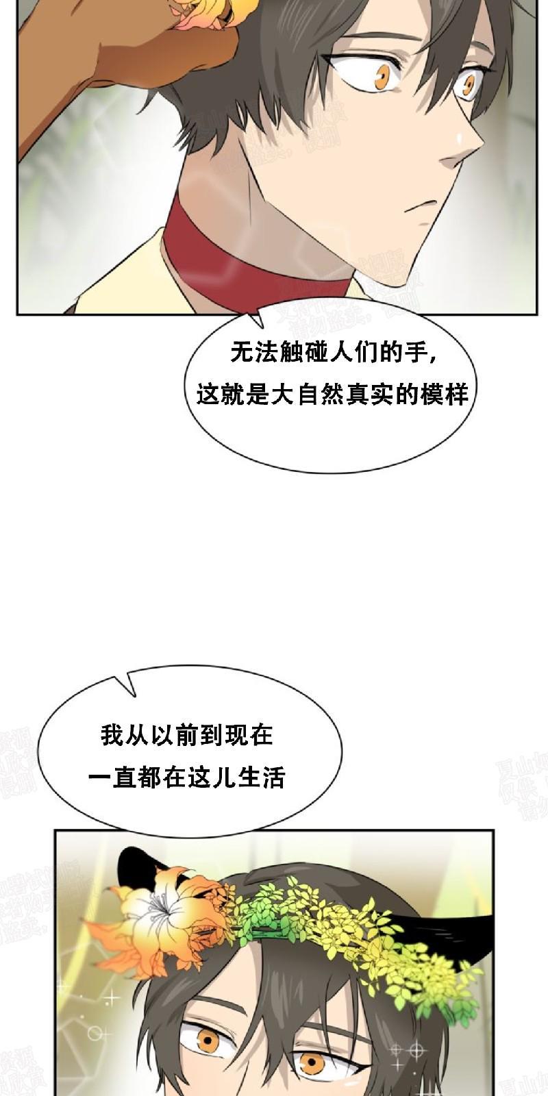 动物王国[耽美]韩漫全集-第25话无删减无遮挡章节图片 