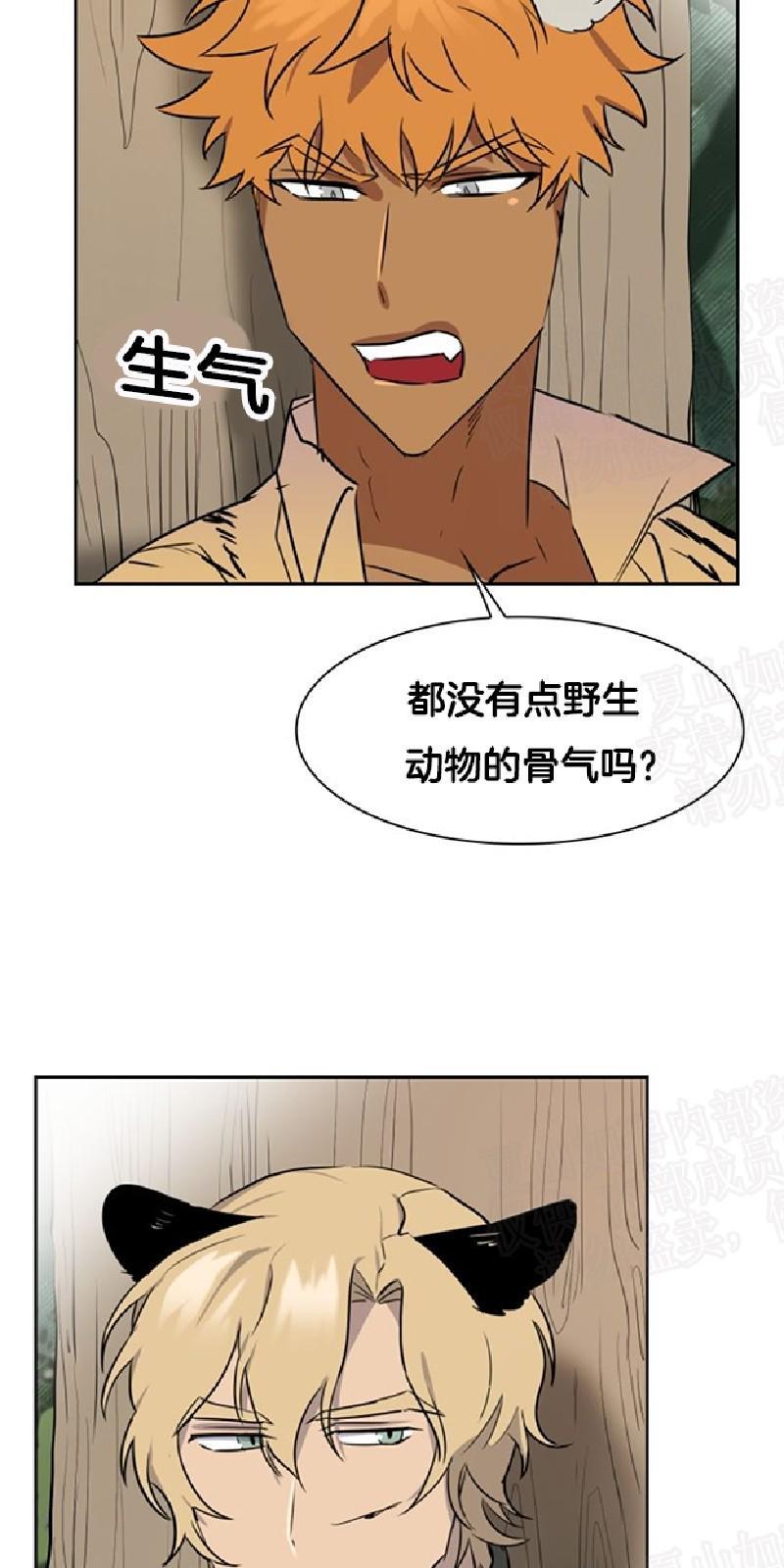 动物王国[耽美]韩漫全集-第28话无删减无遮挡章节图片 
