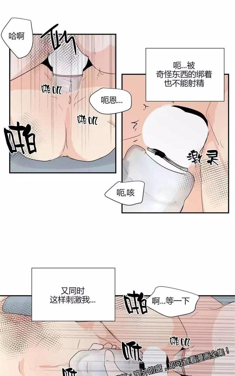 窗外的窗[耽美]韩漫全集-第34话无删减无遮挡章节图片 