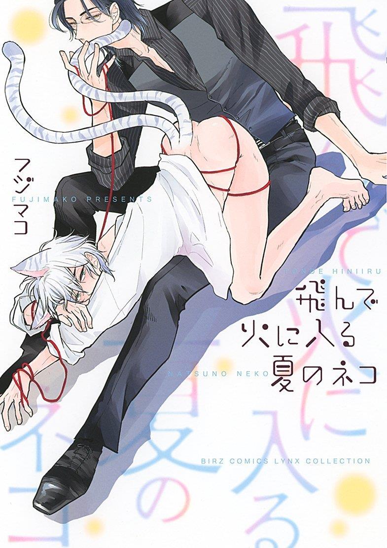 飞蛾扑火的猫[耽美]韩漫全集-第1卷无删减无遮挡章节图片 
