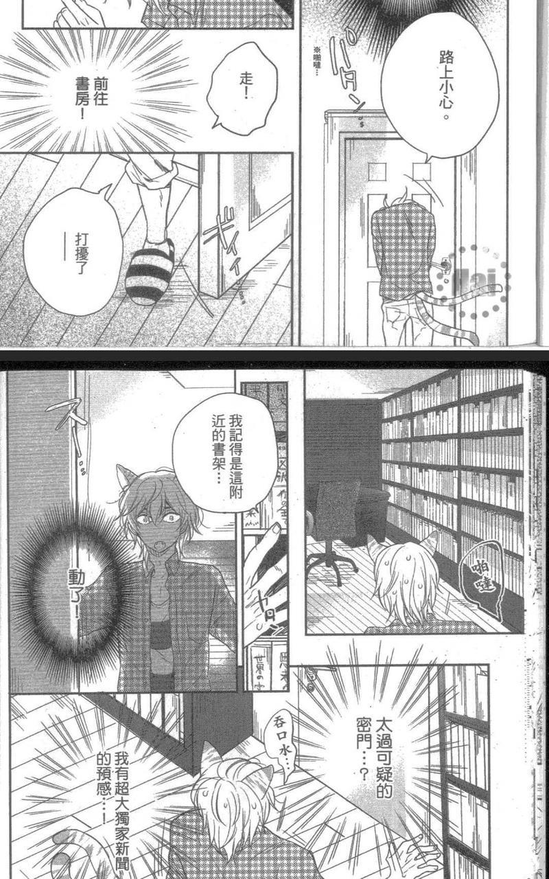 飞蛾扑火的猫[耽美]韩漫全集-第1卷无删减无遮挡章节图片 
