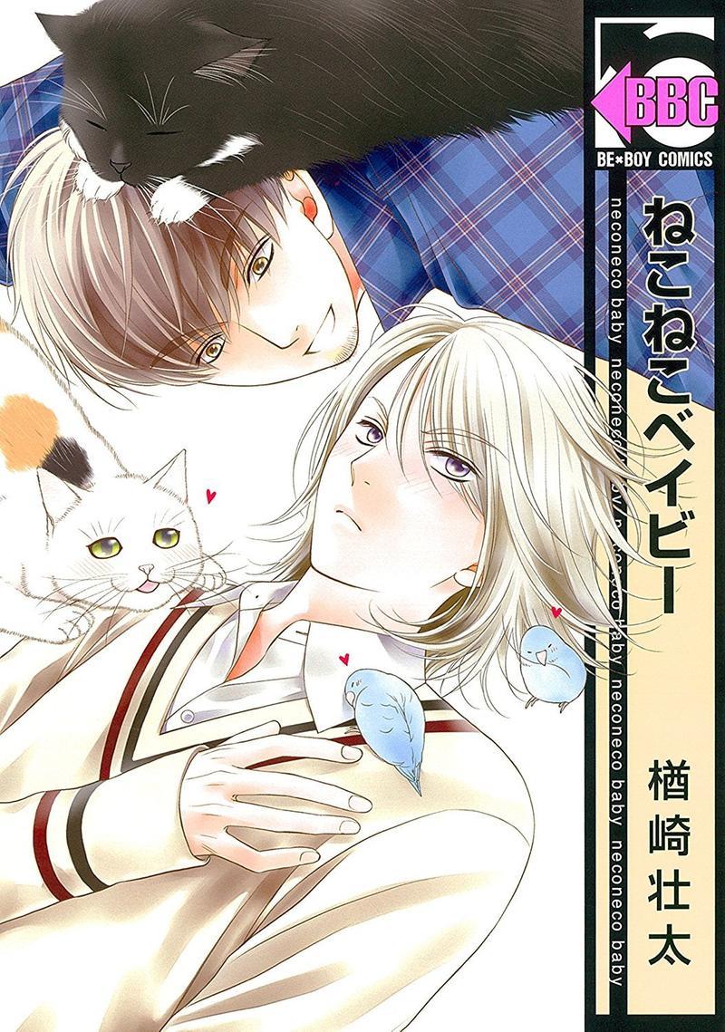猫咪宝贝[耽美]韩漫全集-第1卷无删减无遮挡章节图片 