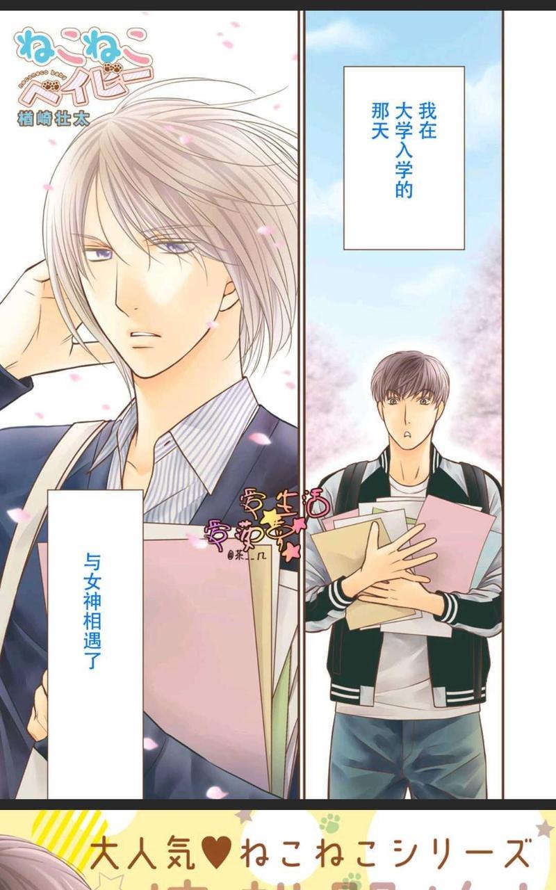 猫咪宝贝[耽美]韩漫全集-第1卷无删减无遮挡章节图片 
