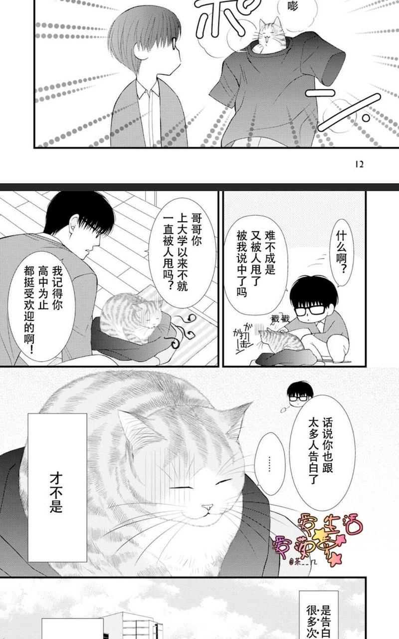 猫咪宝贝[耽美]韩漫全集-第1卷无删减无遮挡章节图片 