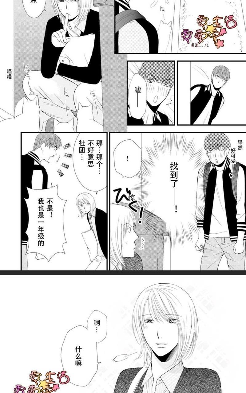 猫咪宝贝[耽美]韩漫全集-第1卷无删减无遮挡章节图片 