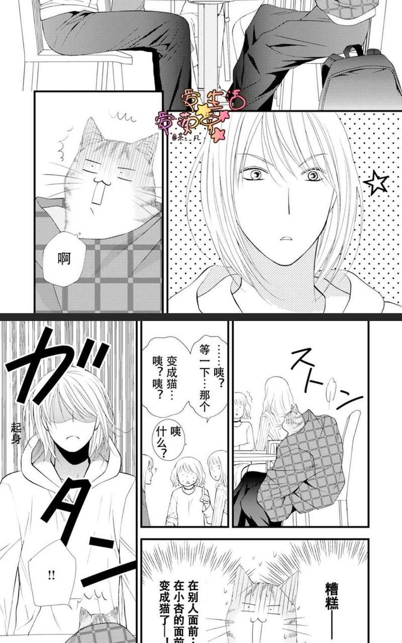 猫咪宝贝[耽美]韩漫全集-第1卷无删减无遮挡章节图片 