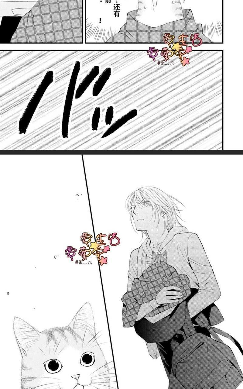 猫咪宝贝[耽美]韩漫全集-第1卷无删减无遮挡章节图片 
