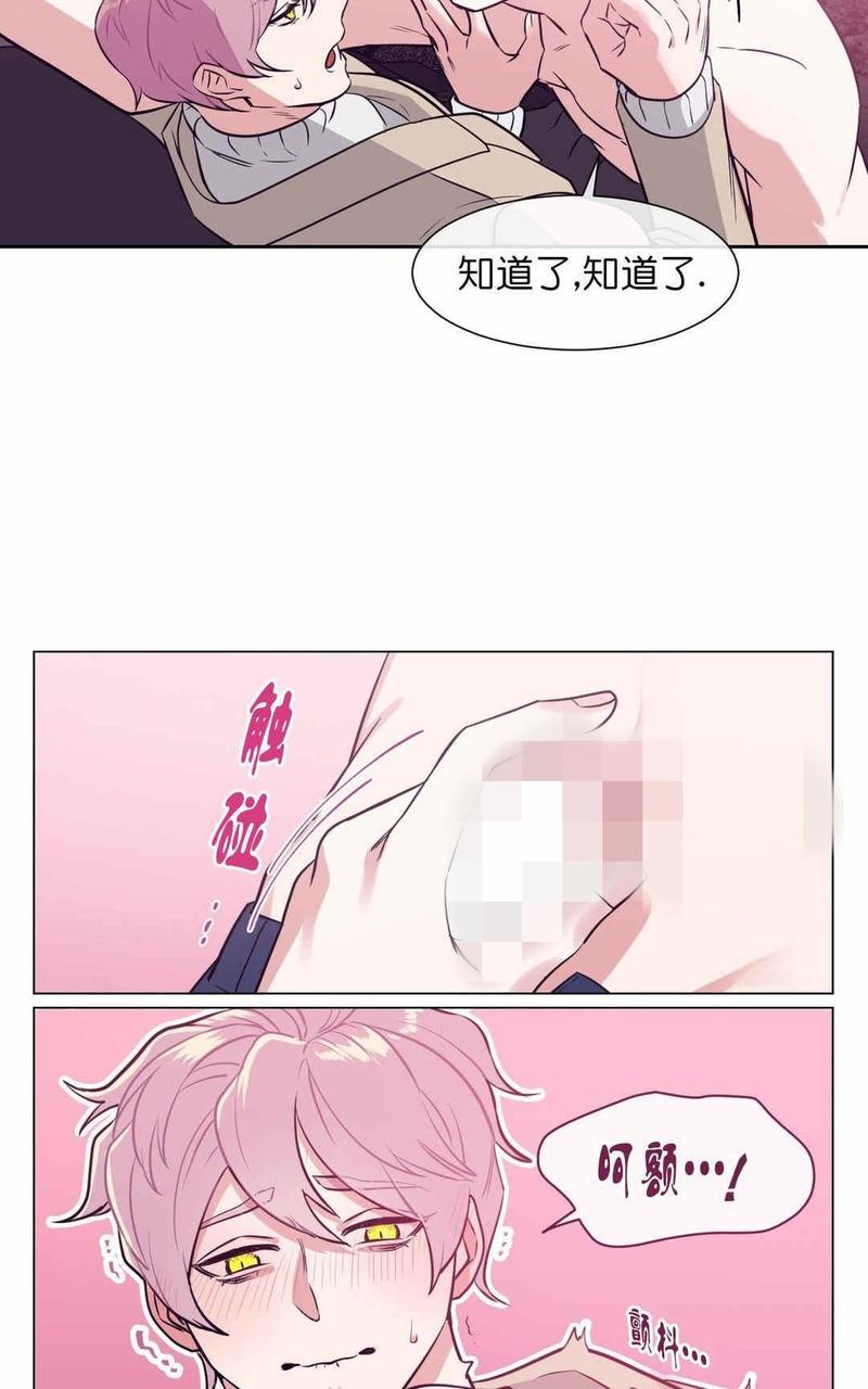 献给您我的血与灵魂[耽美]韩漫全集-第4话无删减无遮挡章节图片 