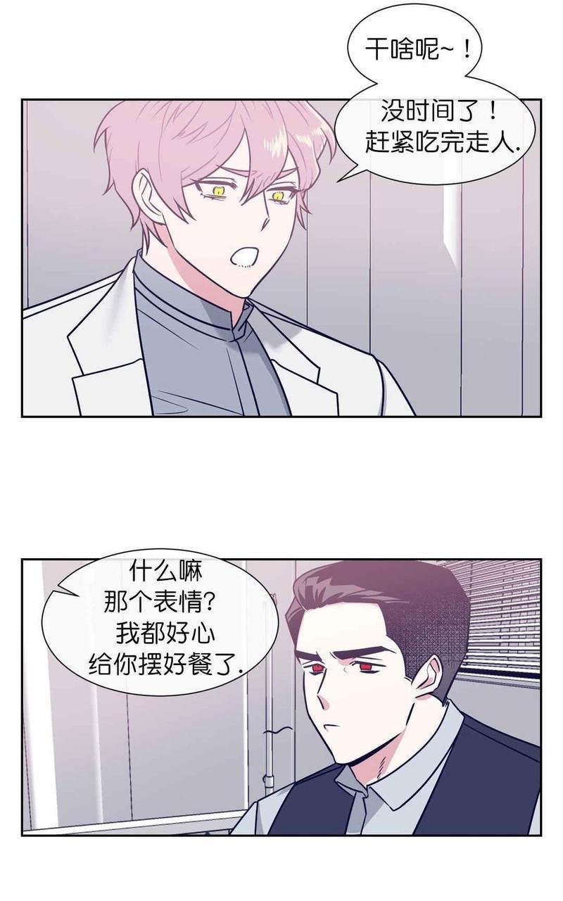献给您我的血与灵魂[耽美]韩漫全集-第6话无删减无遮挡章节图片 