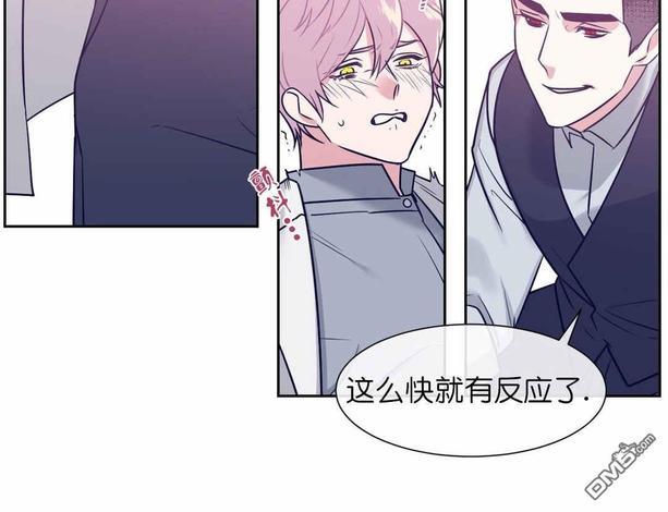 献给您我的血与灵魂[耽美]韩漫全集-第6话无删减无遮挡章节图片 