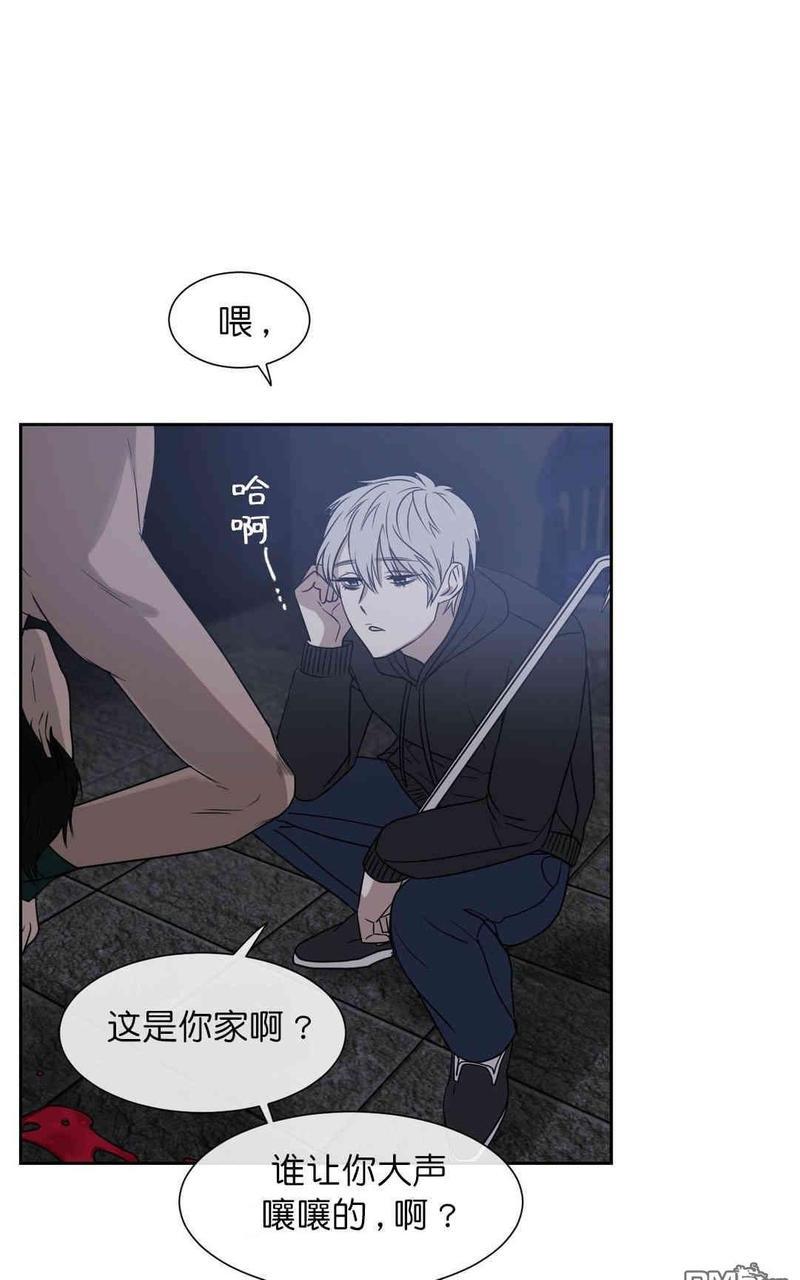 献给您我的血与灵魂[耽美]韩漫全集-第10话无删减无遮挡章节图片 