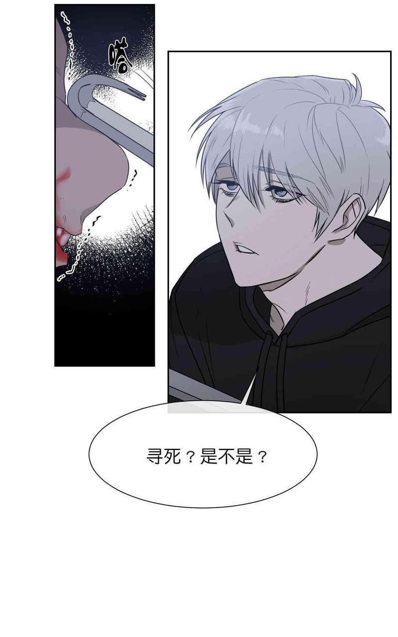 献给您我的血与灵魂[耽美]韩漫全集-第10话无删减无遮挡章节图片 