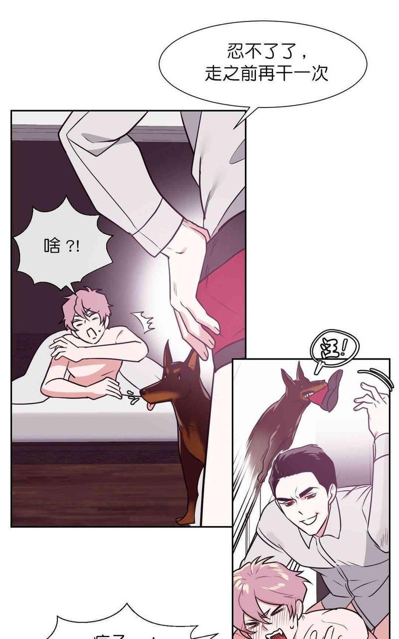 献给您我的血与灵魂[耽美]韩漫全集-第10话无删减无遮挡章节图片 