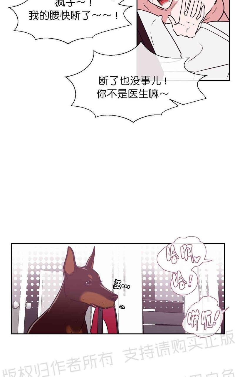 献给您我的血与灵魂[耽美]韩漫全集-第10话无删减无遮挡章节图片 