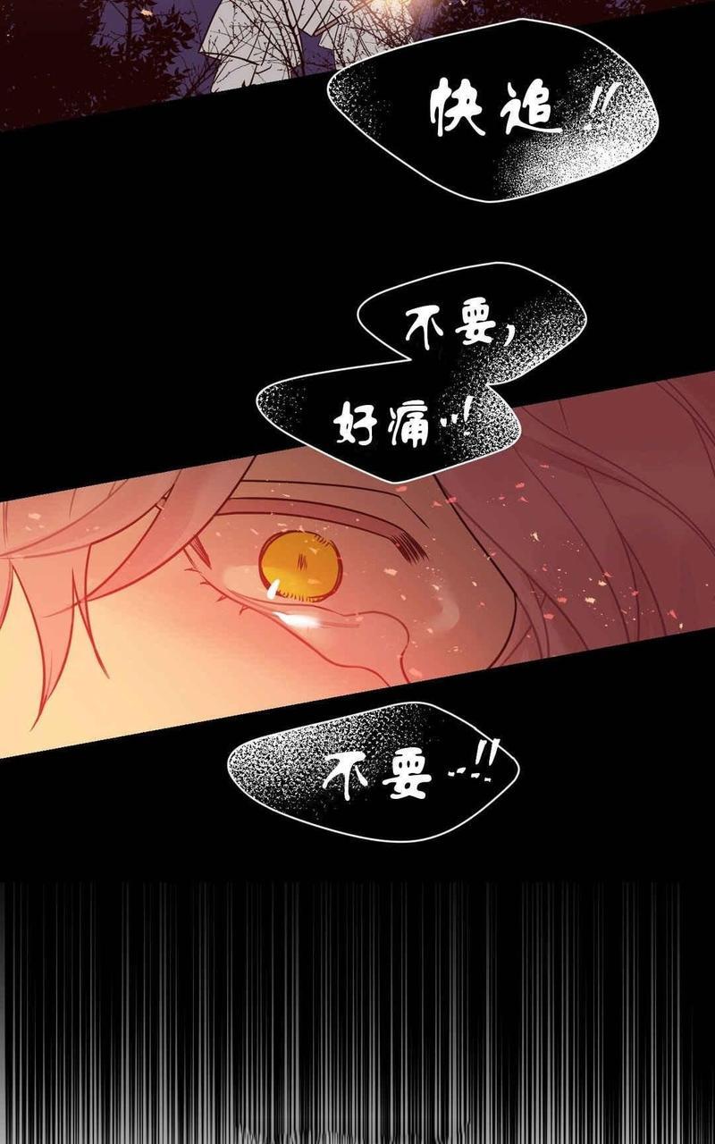 献给您我的血与灵魂[耽美]韩漫全集-第13话无删减无遮挡章节图片 