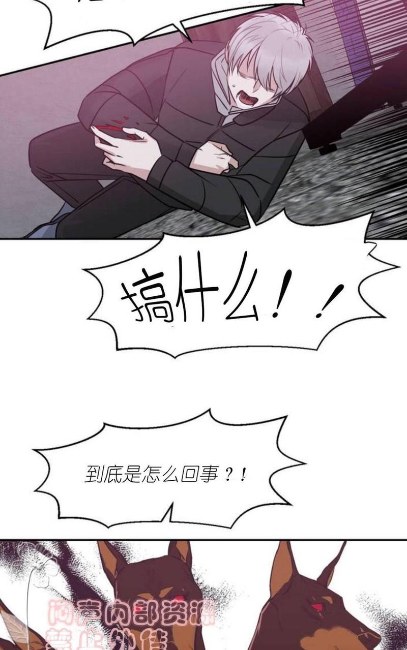 献给您我的血与灵魂[耽美]韩漫全集-第16话无删减无遮挡章节图片 