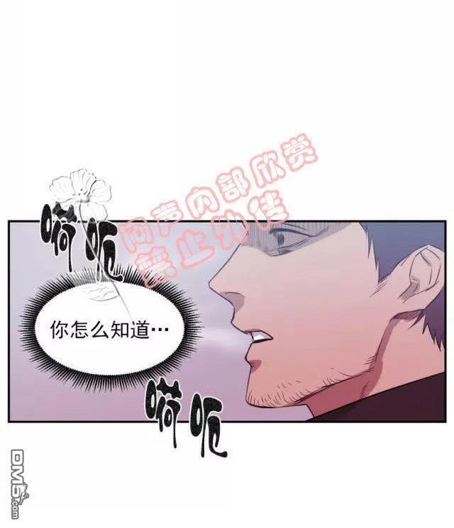 献给您我的血与灵魂[耽美]韩漫全集-第18-19话无删减无遮挡章节图片 