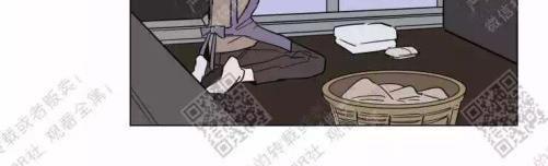裕树先生，那个不可以吃哦[耽美]韩漫全集-第49话无删减无遮挡章节图片 