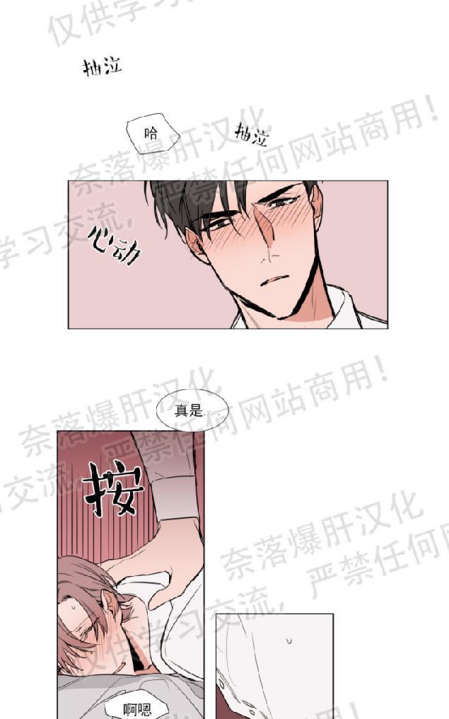 裕树先生，那个不可以吃哦[耽美]韩漫全集-第65话无删减无遮挡章节图片 
