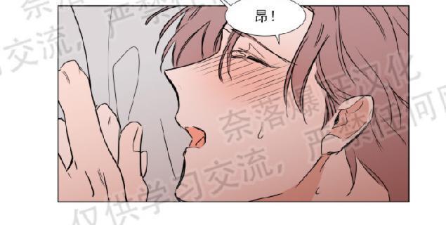 裕树先生，那个不可以吃哦[耽美]韩漫全集-第65话无删减无遮挡章节图片 