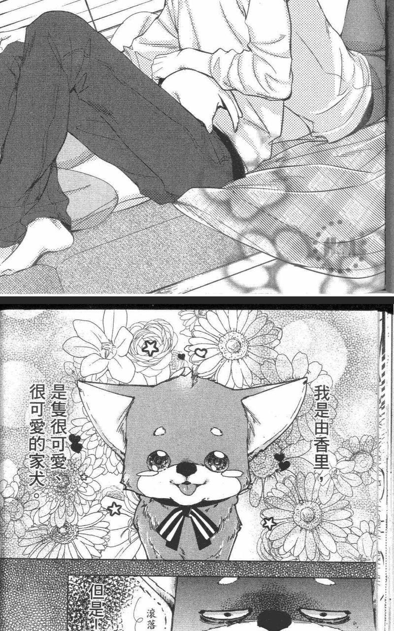 我是有人养的猫[耽美]韩漫全集-第1卷无删减无遮挡章节图片 