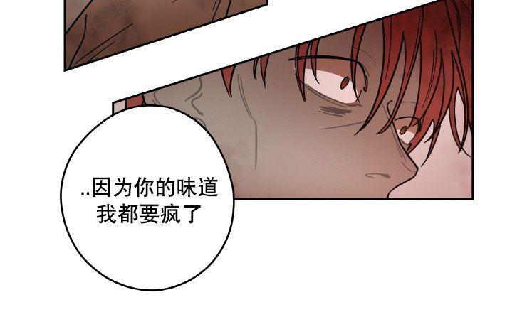 各自的伙食[耽美]韩漫全集-第10话无删减无遮挡章节图片 