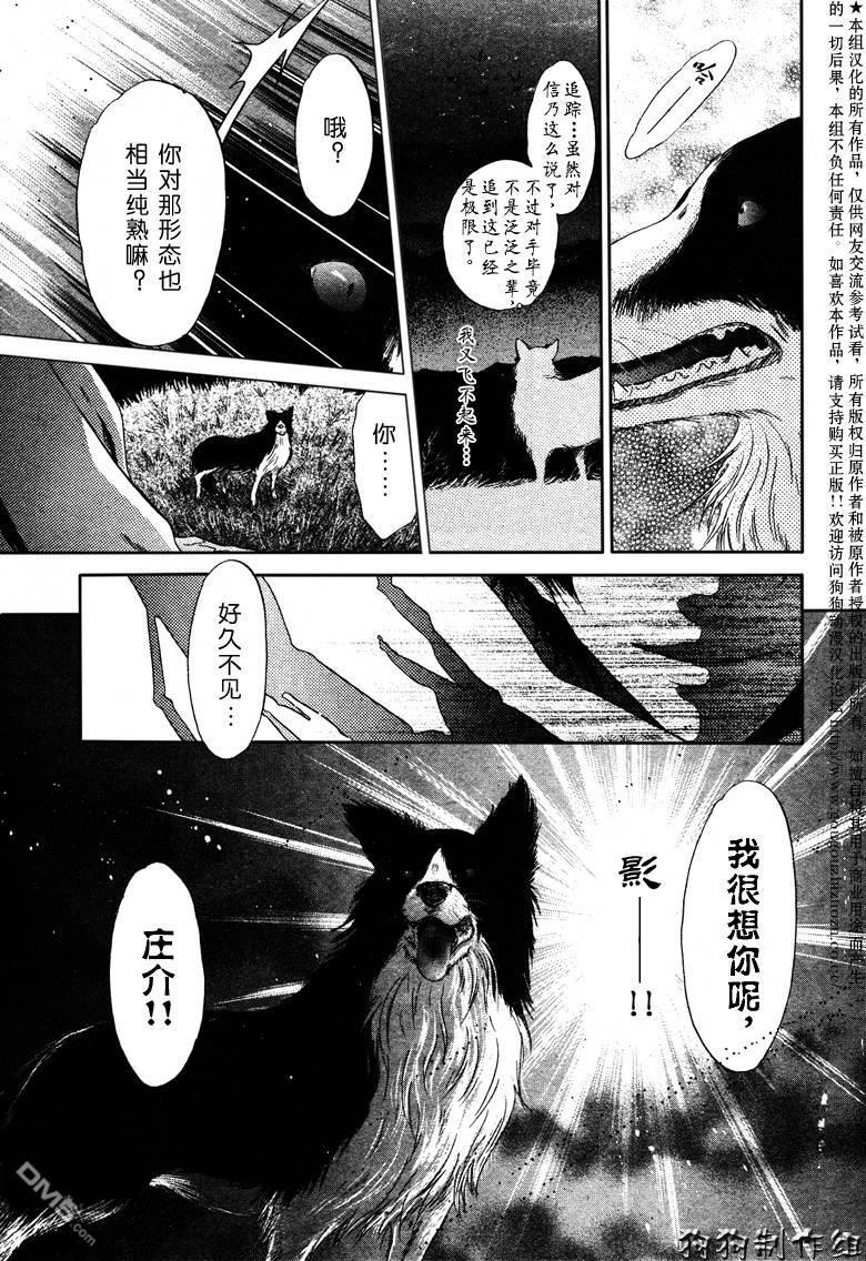八犬传-东方八犬异闻[耽美]韩漫全集-第39话无删减无遮挡章节图片 