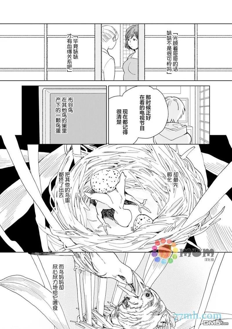 布谷鸟之梦[耽美]韩漫全集-第5话无删减无遮挡章节图片 