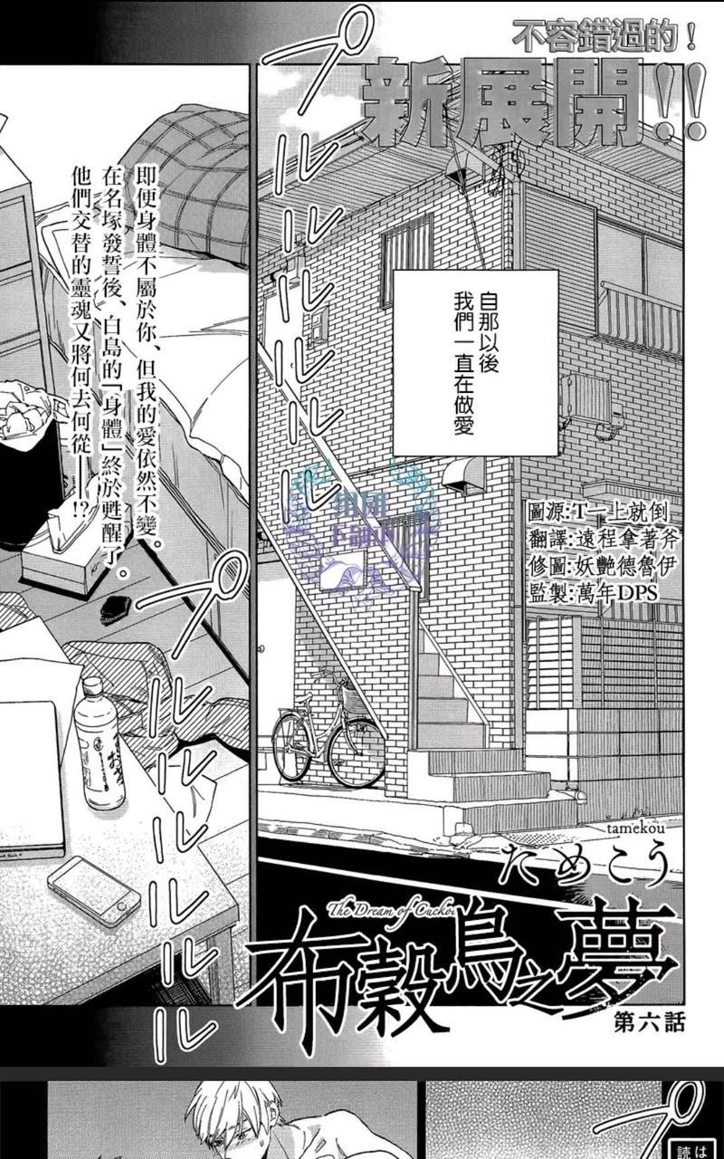 布谷鸟之梦[耽美]韩漫全集-第6话无删减无遮挡章节图片 