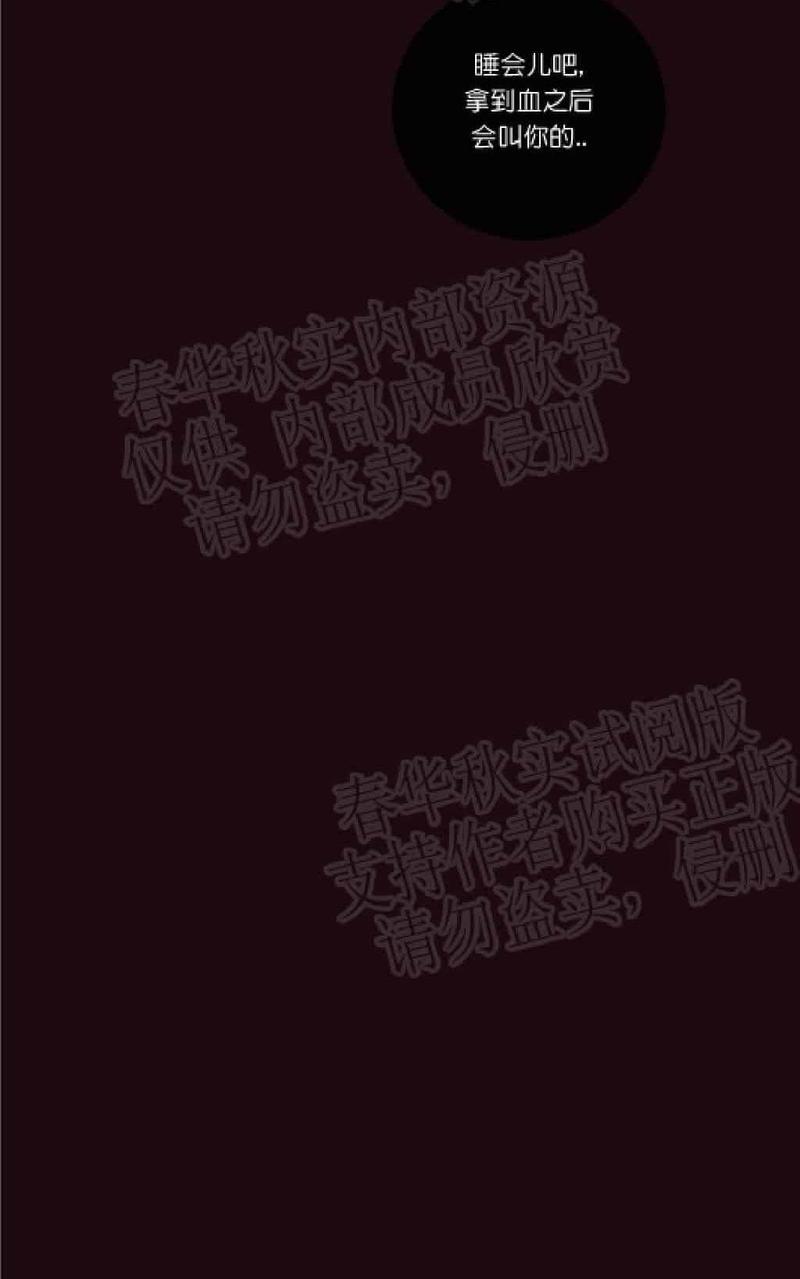 金代理的秘密/半血族第一季[耽美]韩漫全集-第19话无删减无遮挡章节图片 