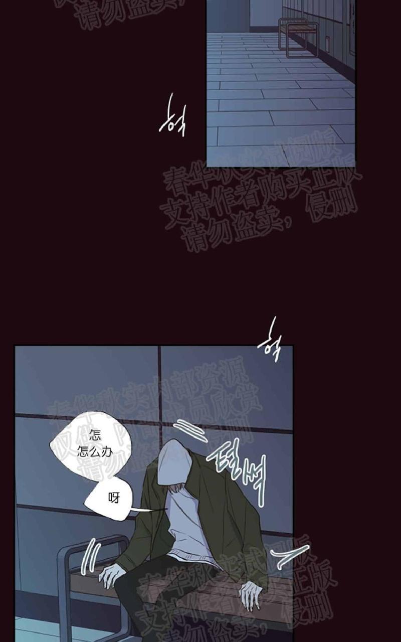 金代理的秘密/半血族第一季[耽美]韩漫全集-第20话无删减无遮挡章节图片 