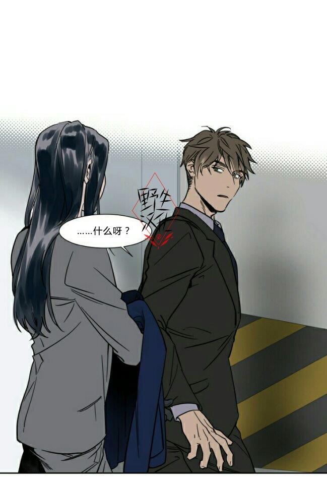 被驯服的遗产[耽美]韩漫全集-第19话无删减无遮挡章节图片 