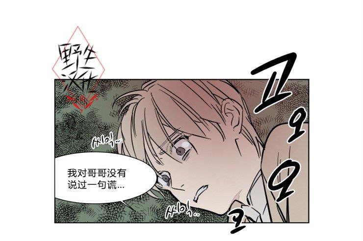 被驯服的遗产[耽美]韩漫全集-第21话无删减无遮挡章节图片 