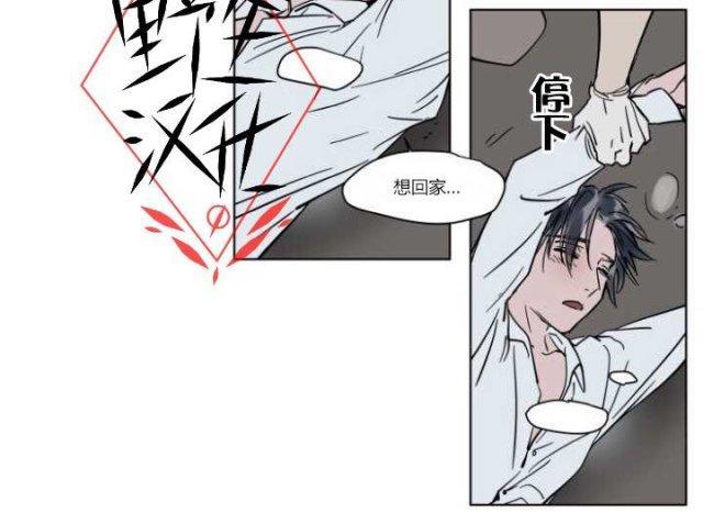被驯服的遗产[耽美]韩漫全集-第23话无删减无遮挡章节图片 