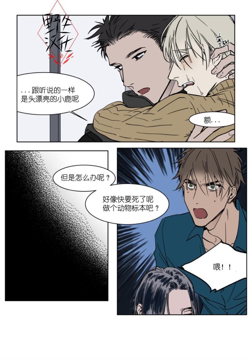 被驯服的遗产[耽美]韩漫全集-第38话无删减无遮挡章节图片 